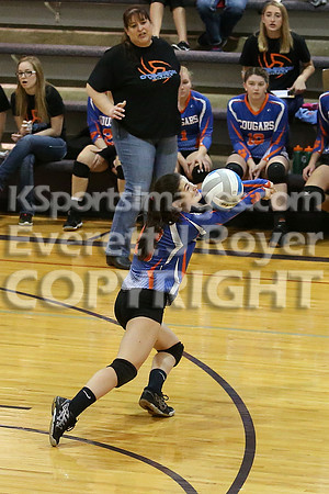 Otis-Bison defeated Sylvan-Lucas 25-17, 17-25, 25-19 at the 1A D2 Wilson Substate to move on to the 2016 Kansas State Volleyball Tournament.